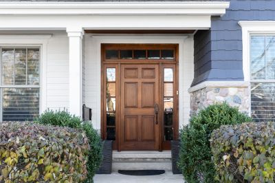 Contemporary Exterior Door